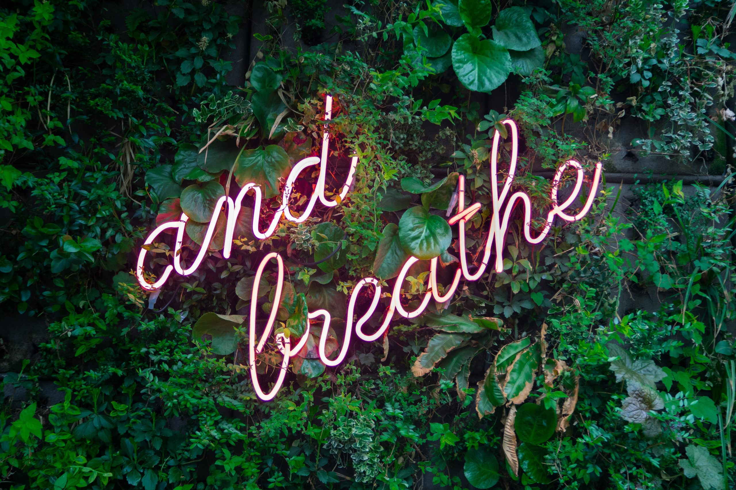 Take a break to just Breathe!
