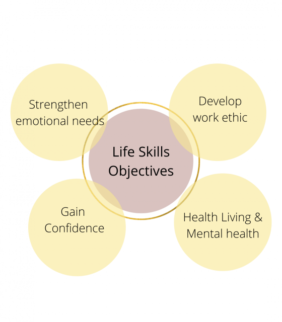 Diagram showing the objectives of life skills education